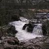Wharfe Symbol Image