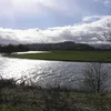 River Forth Symbol Image
