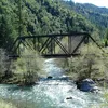 Cow Creek (Oregon) Symbol Image