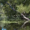 Looking Glass River Symbol Image