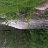 Elkhart River Symbol Image
