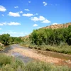 San Miguel River (Colorado) Symbol Image