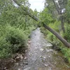 Mancos River Symbol Image
