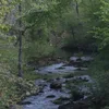 Saline River (Little River) Symbol Image