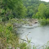 Rolling Fork (Arkansas) Symbol Image