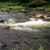 Cossatot River Symbol Image