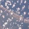 Matagorda Ship Channel Symbol Image