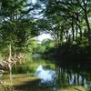 Medina River Symbol Image