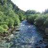 Krka Symbol Image