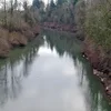 Yamhill River Symbol Image