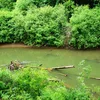 Luckiamute River Symbol Image