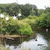 Long Tom River Symbol Image