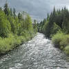 South Fork McKenzie River Symbol Image
