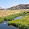 South Fork Crooked River Symbol Image