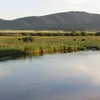 Teton River (Idaho) Symbol Image