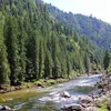 Lochsa River Symbol Image
