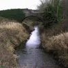 Ulster Canal Symbol Image