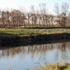 Rother, East Sussex Symbol Image