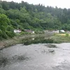 Wye Symbol Image