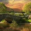 River Derwent Symbol Image