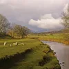 Glenderamackin Symbol Image