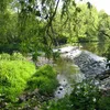 River Tyne (Scotland) Symbol Image