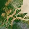 Amazon /Amazonas Symbol Image