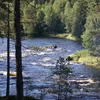 Rickleån Symbol Image