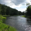 Bog Symbol Image