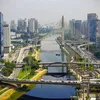 Pinheiros Symbol Image