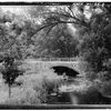 Little Wolf River Symbol Image