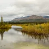 Nenana Symbol Image