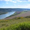 Peace River Symbol Image