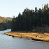 Big (California) Symbol Image