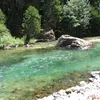 Middle Fork Kings Symbol Image