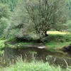 East Fork Millicoma Symbol Image