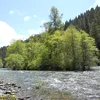 McKenzie River (Oregon) Symbol Image