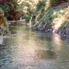 Elk River (Oregon) Symbol Image