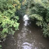 Skokie / East Fork North Branch Chicago River  Symbol Image