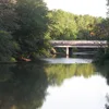 Battle Creek Symbol Image