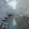 Paw Paw River Symbol Image