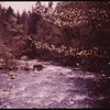 Moose River (New York) Symbol Image