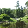 Beaver River (New York) Symbol Image
