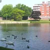 Avon (Ontario) Symbol Image