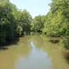 Conasauga River Symbol Image