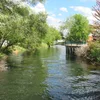 North Branch Boyne River (Michigan) Symbol Image