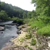 Locust Fork of the Black Warrior River Symbol Image