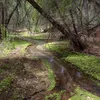 Hassayampa River Symbol Image