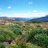 Bear River (Colorado) Symbol Image