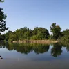 West Fork Spring River Symbol Image